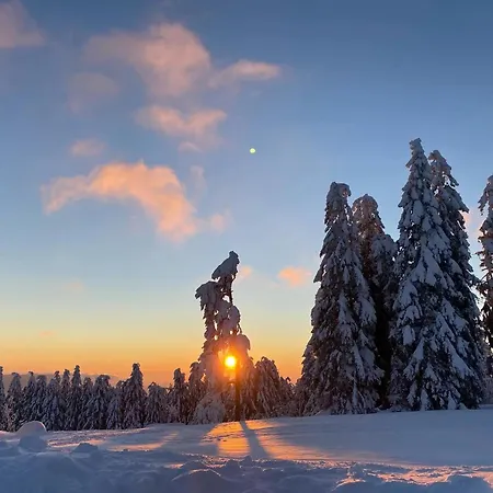 Apartmán Moderne, Ruhige Heselbach